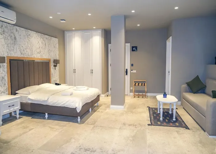 Hotel La Vida Ex Palazzo Karakoey Istanbul