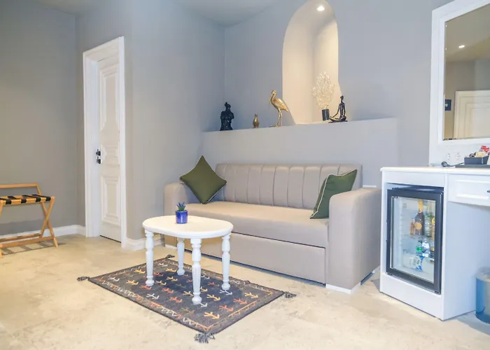 Hotel La Vida Ex Palazzo Karakoey Istanbul